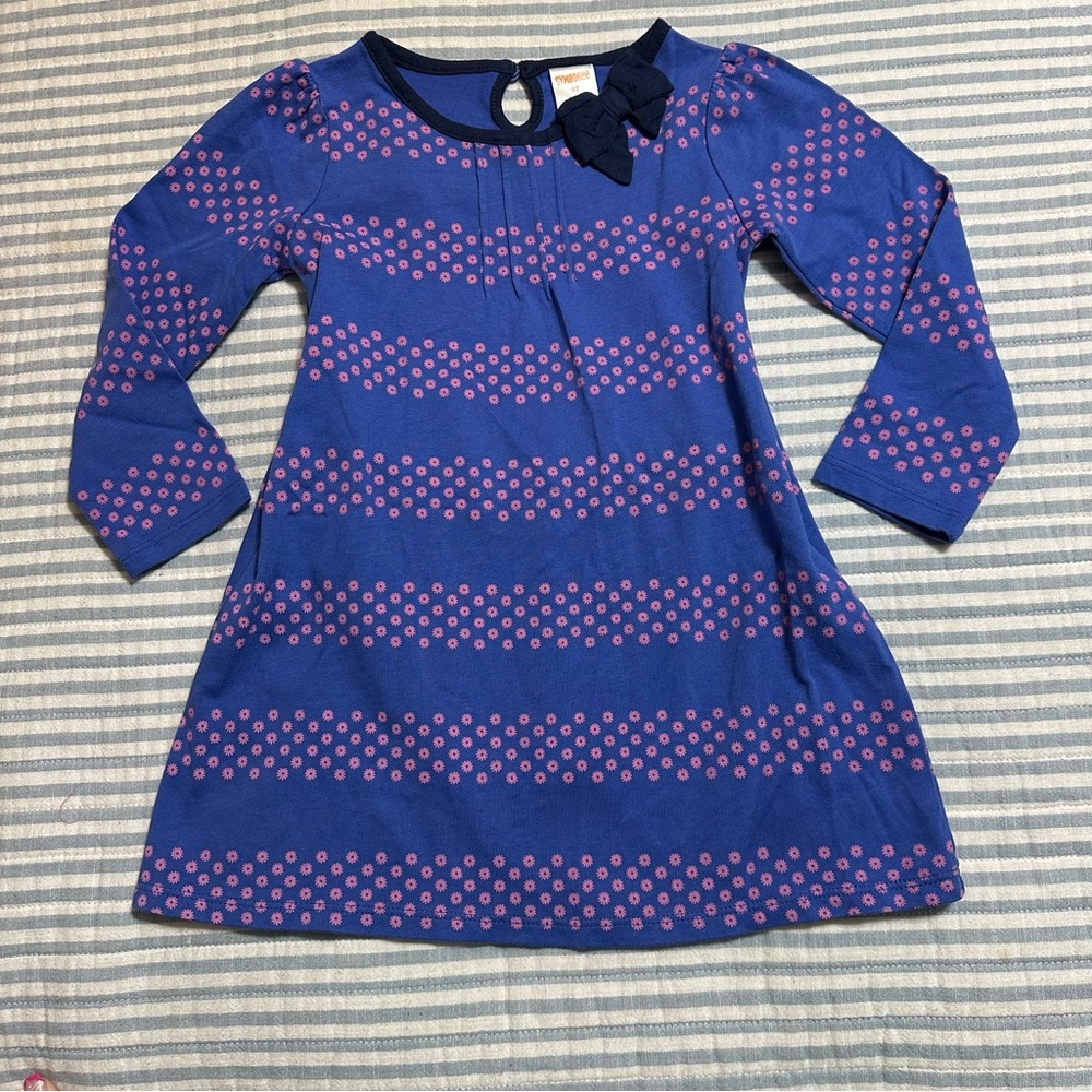 Gymboree Hop N Roll Blue Pink Long Sleeve Dress Size 3T NWOT